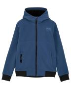Indian Blue Jack 960274