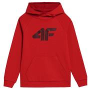 4F Kinderen/kids jss23tswsm220 hoodie
