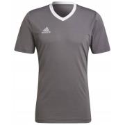 Adidas Heren entrada 22 jersey