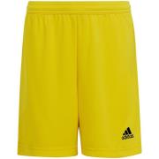 Adidas Kinderen/kinderen entrada 22 korte broek