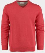 Bos Bright Blue Pullover cotton regular fit 518100cct-13/335