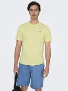 Only & Sons Onskevin flower reg emb. ss tee