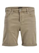 Jack & Jones jjirick jjicon shorts sq 110 12278897 winter twig