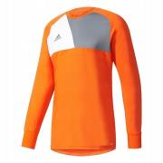 Adidas Kinder/kids assita 17 keeperstrui