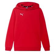 Puma Kinder/kids team goal casuals hoodie