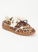 Steve Madden Augustine sneaker met panterprint