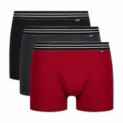 Set van 3 boxershorts Ecodim