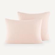 Kussensloop in biologisch tetra, Yafa