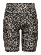 Fietsshort met luipaardprint Jam