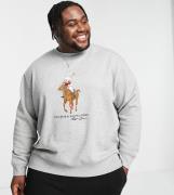 Polo Ralph Lauren Big & Tall bear player print sweatshirt in grey marl
