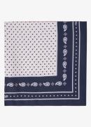 Maje Sjaal van zijde