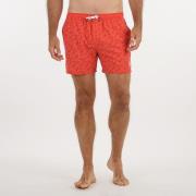 Short de bain Volley essentiel uni