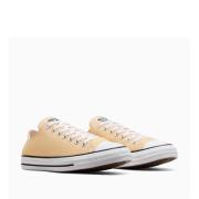 Baskets Chuck Taylor All Star Seasonal Color.