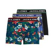 Lot de 3 boxers