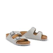 Mules Arizona