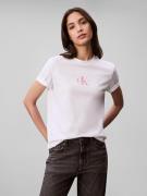 T-shirt manches courtes à logo CK