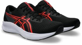 Baskets Patriot 14
