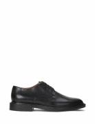 Derbies en cuir Asher