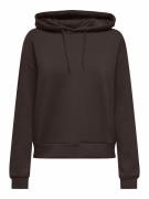 Sweat à capuche, Lounge