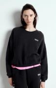 Sweat col rond IZUBIRD